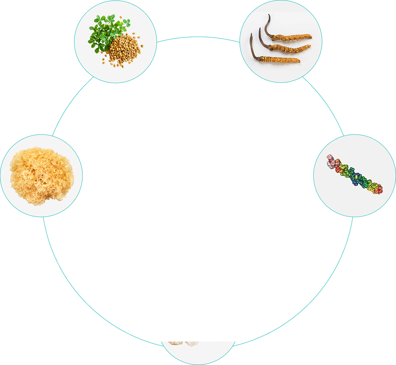circle-image-1