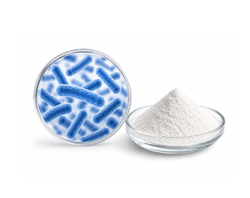 Bacillus coagulans
